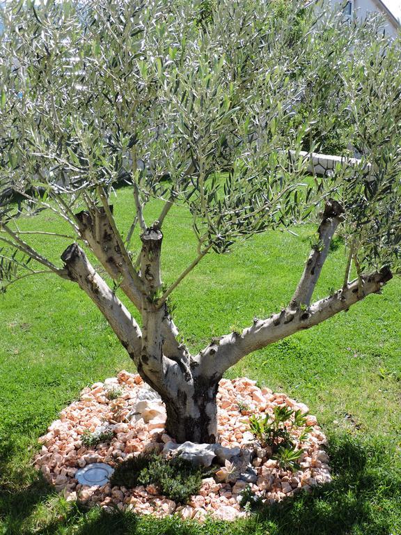 Apartments Villa Residenca Novi Vinodolski Dış mekan fotoğraf